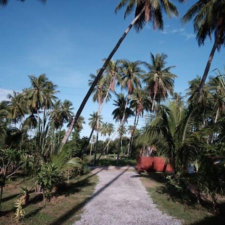Ban Wa Thon Coconut Tree Homestay מראה חיצוני תמונה